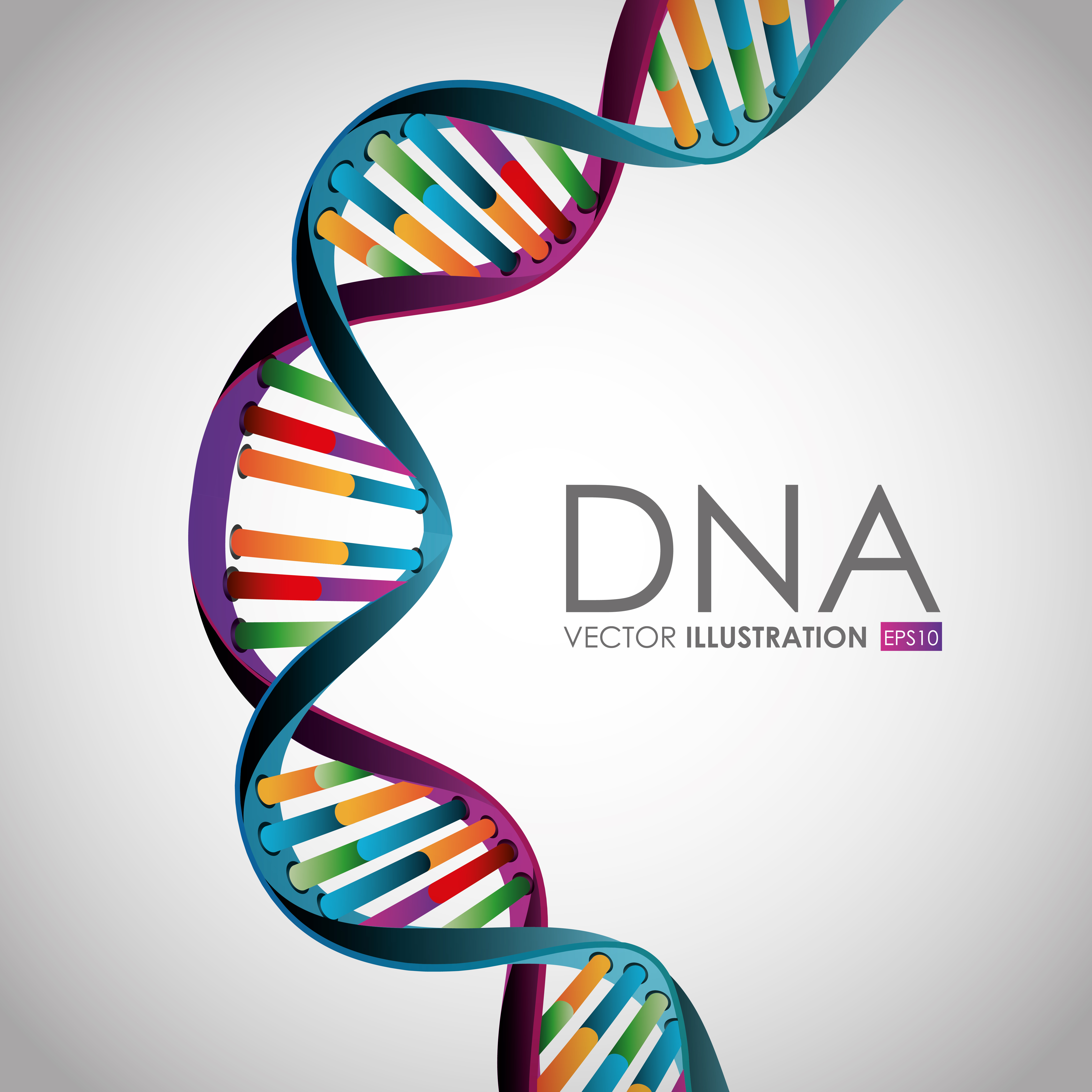Оформление дизайн ДНК